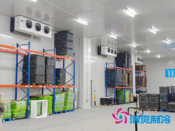 要建設一個醫(yī)藥冷庫大概需要多少資金呢？