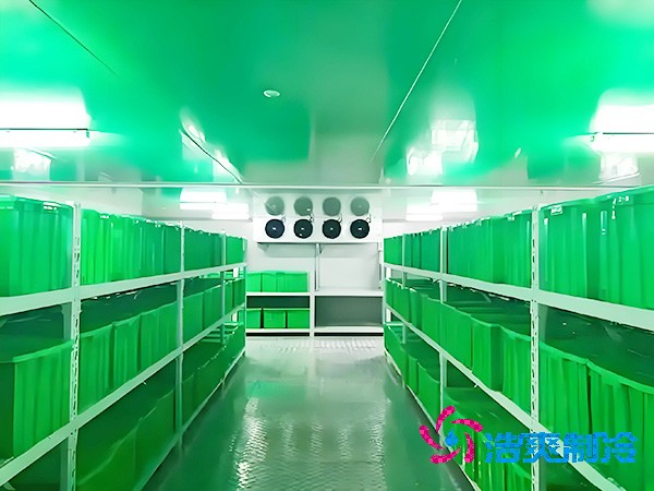  上海醫(yī)藥冷庫（醫(yī)療器械冷庫）造價問題解析