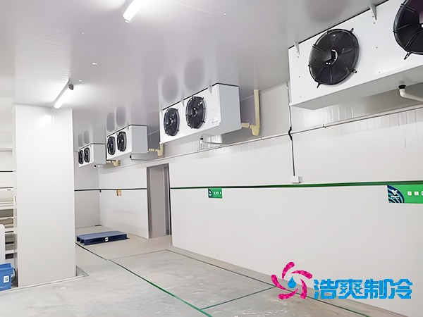 醫(yī)藥冷庫全方位設(shè)計(jì)安裝解析