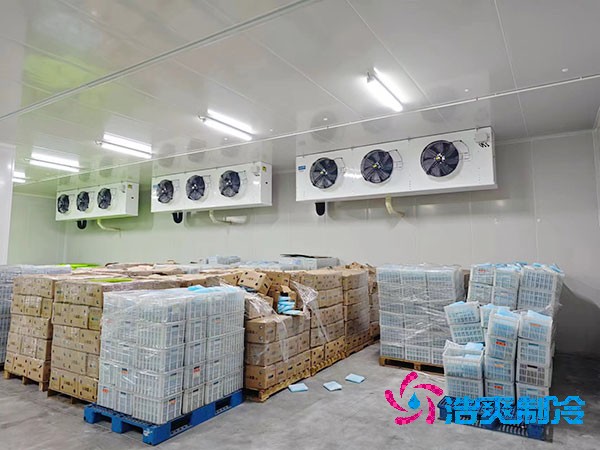 智能醫(yī)藥冷庫安裝方案與造價(jià)概覽