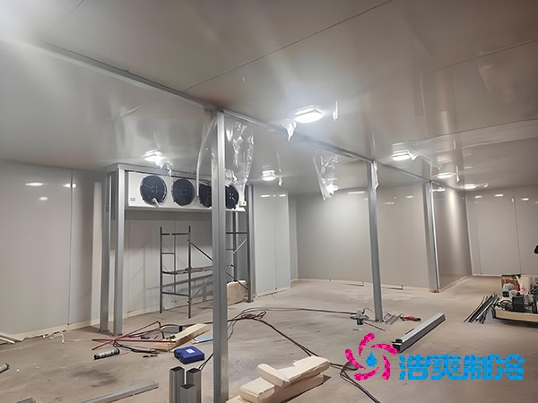  新建生物醫(yī)藥冷庫(kù)的造價(jià)預(yù)算與深度解析