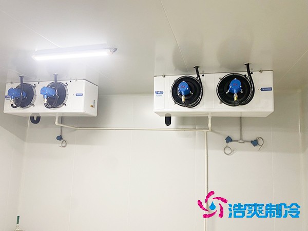 上海建設(shè)醫(yī)藥冷庫(kù)造價(jià)費(fèi)用大概多少錢？