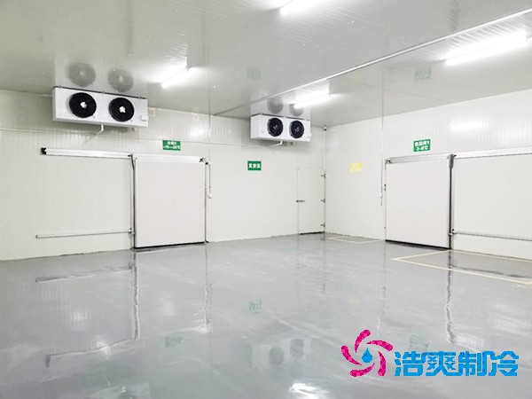 醫(yī)藥冷庫設(shè)計(jì)建造